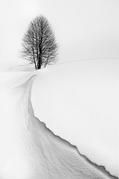 深情海洋采集到雪色美景！