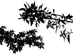 WinstonWei采集到光影