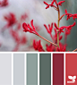 Design Seeds : Design Seeds color palettes ... posted daily for all who love color.