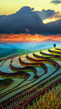 风景
