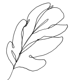 Cheer淳采集到Hand painted/PNG