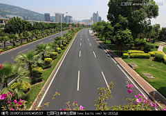 hAbZ2s37采集到道路绿化