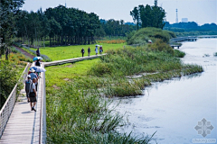 圆胖子在用功采集到市政景观——湿地公园