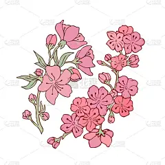 树枝上的花。矢量插图。股票向量。小樱。一组樱花。粉色的花瓣