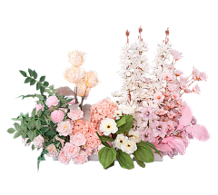 雨落の花香采集到【勉抠】---png花
