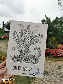 户外写生线描植物美术基础绘画湛江画室