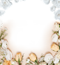 花框