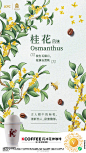 细品一口东方花香，在氤氲气息中追溯《五彩十二月花卉纹杯》的诗情花意。全新K COFFEE闪冲花神咖啡，以三款独特花香，带你神游烂漫花园，一览花开美寓。点击O肯德基x故宫博物院 KCOFFEE闪冲花神咖啡礼盒 ... 慢慢品味。#花神咖啡，好享这一杯# ​​​​