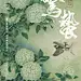 18款AI惊蛰素材24节气传统宣传海报设计素材末班设计中国风惊蛰海报 (3)