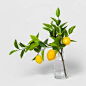 Free shipping on orders of $35+ from Target. Read reviews and buy 16" x 9" Artificial Lemon Leaf Arrangement Yellow/Green - Threshold™ at Target. Get it today with Same Day Delivery, Order Pickup or Drive Up.