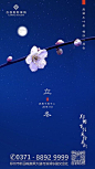 立冬节气梅花简约移动端海报