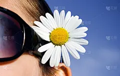 发上的花