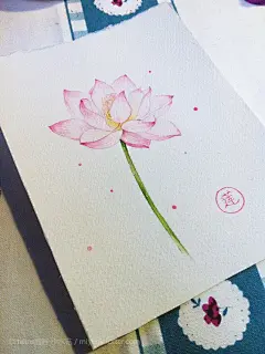 水彩教程荷花花绘步骤图了完成～-twins插画-小水菇