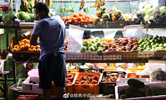 曦家星辰肖采集到场景设计