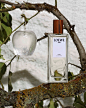Photo shared by LOEWE Perfumes on November 23, 2022 tagging @loewe, @jonathan.anderson, @lukas_wassmann, and @loewe_perfumes. May be an image of fragrance and text that says 'LOEWE OOI MAN Eau Toilette'.