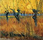 作　　者：文森特·梵高 - vincent van gogh
作品名称：夕阳下修剪过的柳树 - pollard willows with setting sun