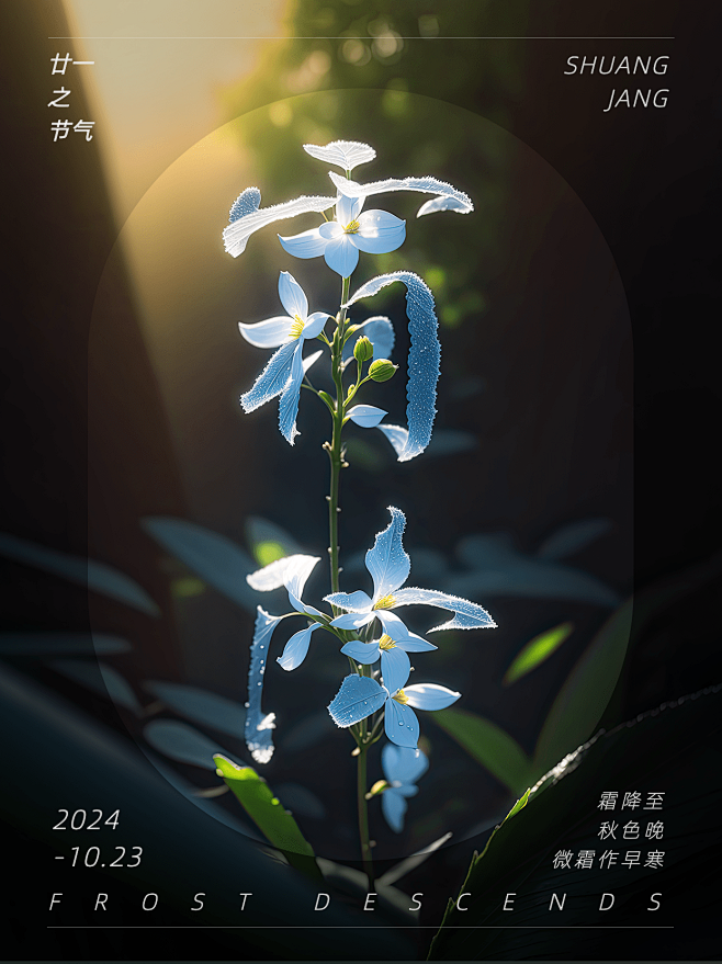 霜降节气祝福SD字体设计小红书配图AIG...
