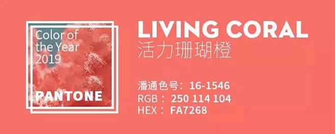 2019流行色