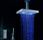 Ultra Slim Shower Head by Signorini