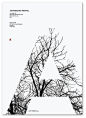 I love this. It has a great tranquil, soft beauty.first of all it reminds of the clipping mask tool in Illustrator.secondly,I love the simple black & white color scheme.I especially love how the only thing black are the tree branches,so with the white