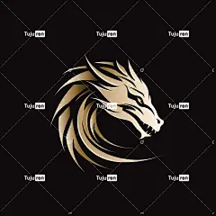 金龙标志logo海报