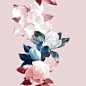 Delicate Magnolias : print that sell in Patternbank