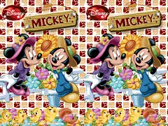 画册，卡通，人物，米奇，米妮，花，小鸡，底纹，格子纹，情侣