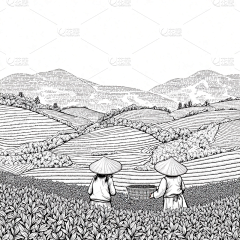 GoooGO采集到免扣-人物/场景/物品