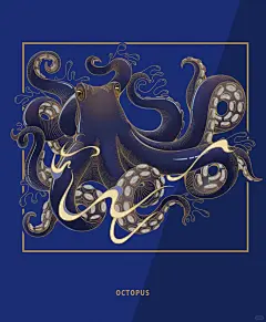 海鲜包装插画三连 - 小红书