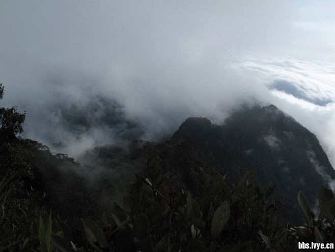 登热带雨林最高峰五指山-巅峰之上看云海