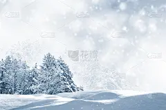 冰雪覆盖的冬季森林。户外。下降的雪花