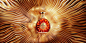 Rémy Martin XO