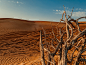 Desert