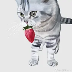 网友家的识货猫把牛奶草莓叼走啦~ 美短 吃货 水果 牛奶 可爱猫星人 喵 萌宠 手绘 猫猫漫画 可爱 草莓 吸猫 每日一画 大爱喵星人 ​​​​