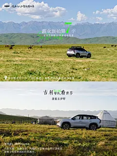 新疆旅拍-那拉提-2 (4)