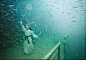 沉入水底的美 | Andreas Franke摄影系列《life below the surface》
