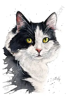 动物猛兽-30