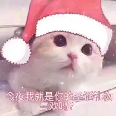 今夜我就是你的圣诞礼物，喜欢吗 - 圣诞猫咪表情包 ​