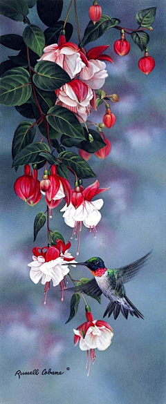 AqBa8cJB采集到彩铅—花卉