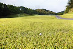 花瓣素材-场景图片采集到运动