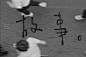 字体江湖
