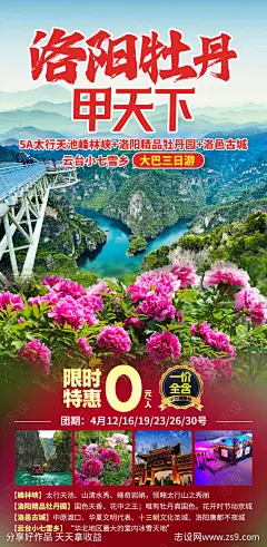 洛阳牡丹旅游海报-源文件-志设网-zs9.com