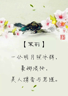 季辞的猫采集到花四时