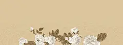 复古,纸质,背景,手绘,白玫瑰,文艺,女鞋,女装,女包,女性,海报banner,小清新,简约图库,png图片,,图片素材,背景素材,3522368北坤人素材@北坤人素材
