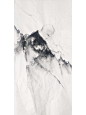 回旋_狩野千浤__插画师作品_涂鸦王国gracg.com