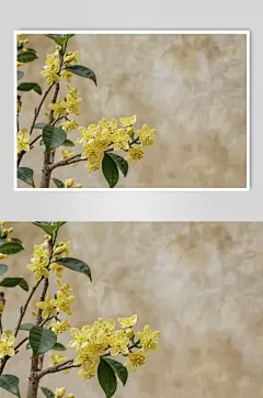 AI数字艺术秋季芳香桂花照片