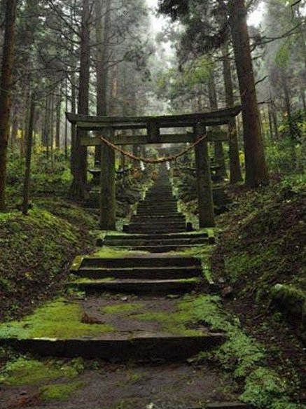 萤火之森的舞台地点----上色见熊野座神...