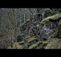 Black seasons - Part eight : J’ignore quand cette série a véritablement commencé, sans doute pas à la première photo. Je crois que tout ceci remonte à bien plus loin, au-delà de ma propre mémoire. Ce sont des images qui se bousculent : un curé revêtu d’un