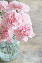 Pink Carnations In Mason Jar.   8x12 Fine Art Nature Photography Print.  Shabby Chic Flowers Spring Decor.. $28.00, via Etsy.