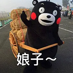 娘子 熊本熊表情包